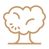 icons8 лиственное дерево 100 1